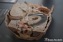 VBS_2875 - Cuore. Attacco cardiaco - Mostra Body Worlds